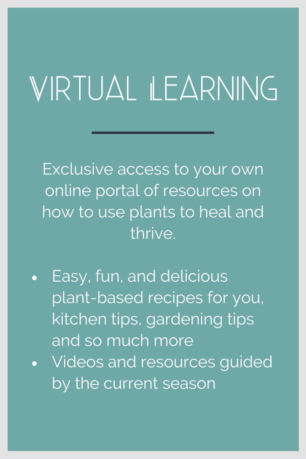 Copy of Virtual Learning.png